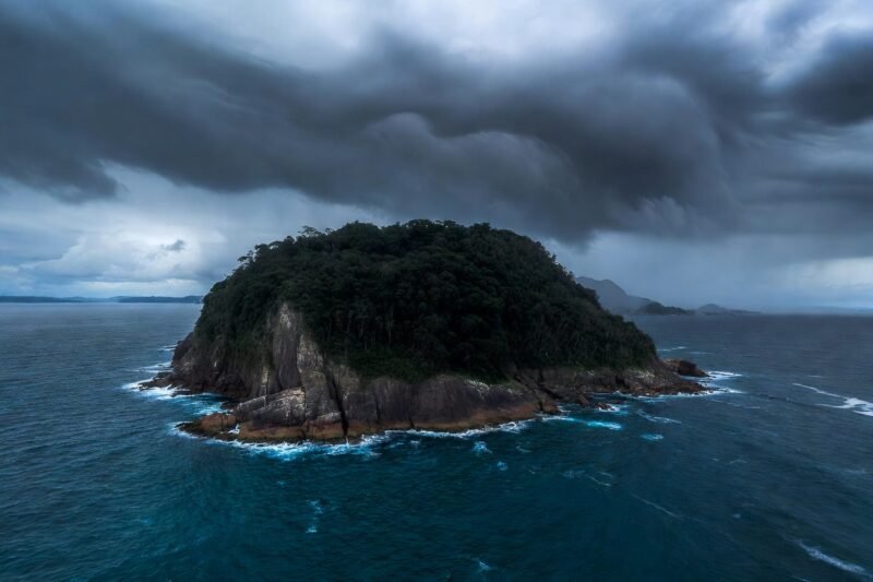 Snake Island Exists—and What Lives There Will Shock You